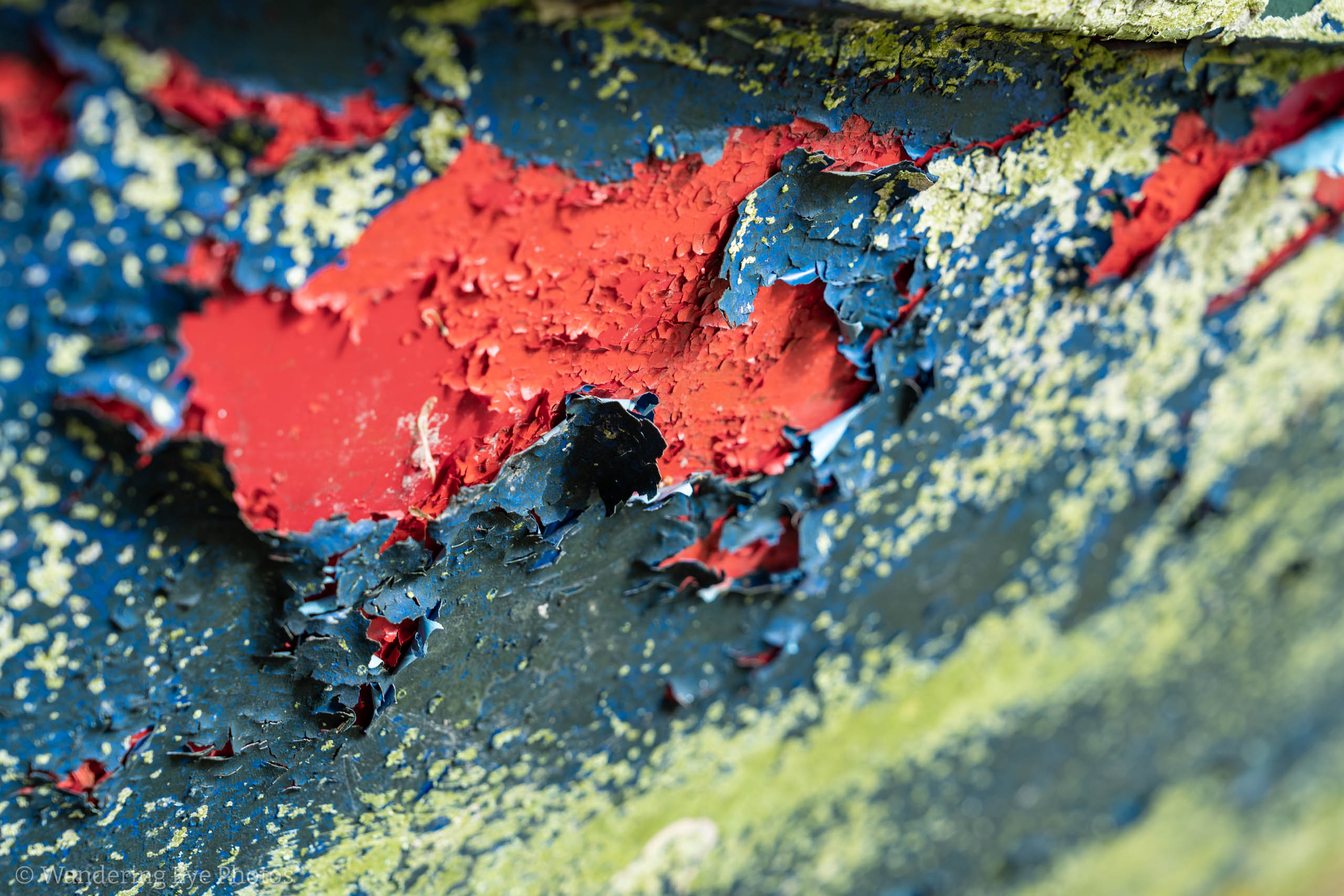 03.24 09.21.26   DSC07955